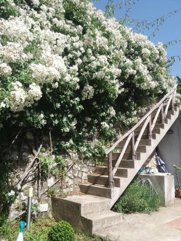 לינה וארוחת בוקר טרמונטי Pietra Rosa מראה חיצוני תמונה