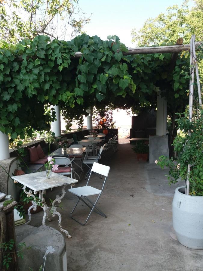 לינה וארוחת בוקר טרמונטי Pietra Rosa מראה חיצוני תמונה